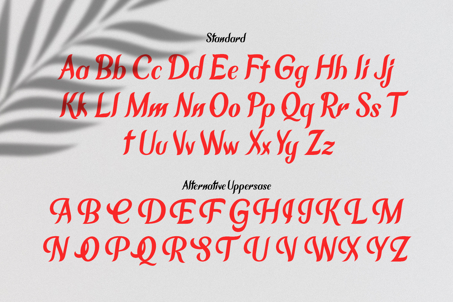 Chameron Modern Serif Chameron Modern Serif