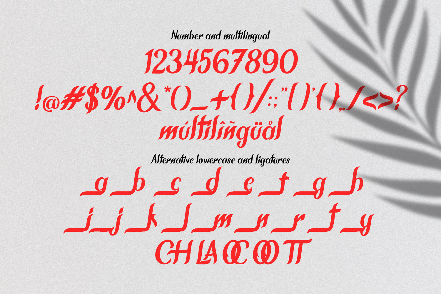 Chameron Modern Serif Chameron Modern Serif