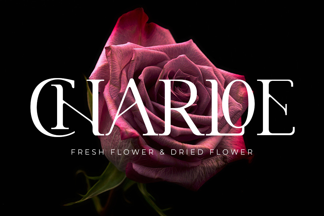 Cannu - Modern Typeface Cannu - Modern Typeface