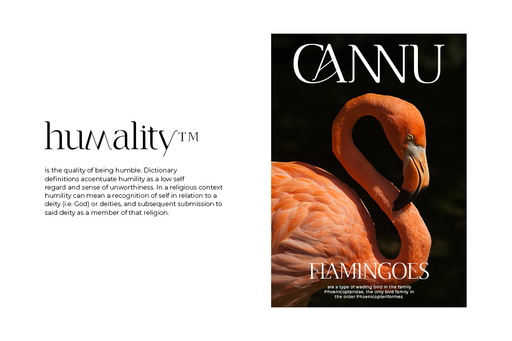 Cannu - Modern Typeface Cannu - Modern Typeface