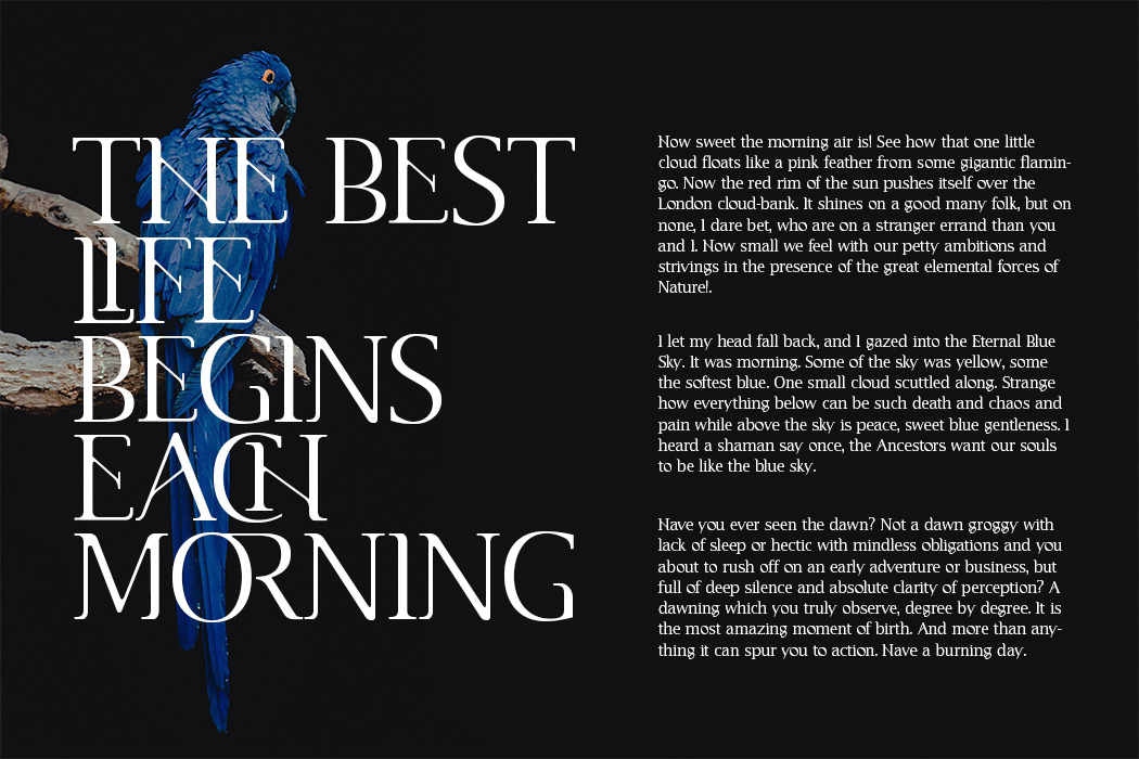 Cannu - Modern Typeface Cannu - Modern Typeface