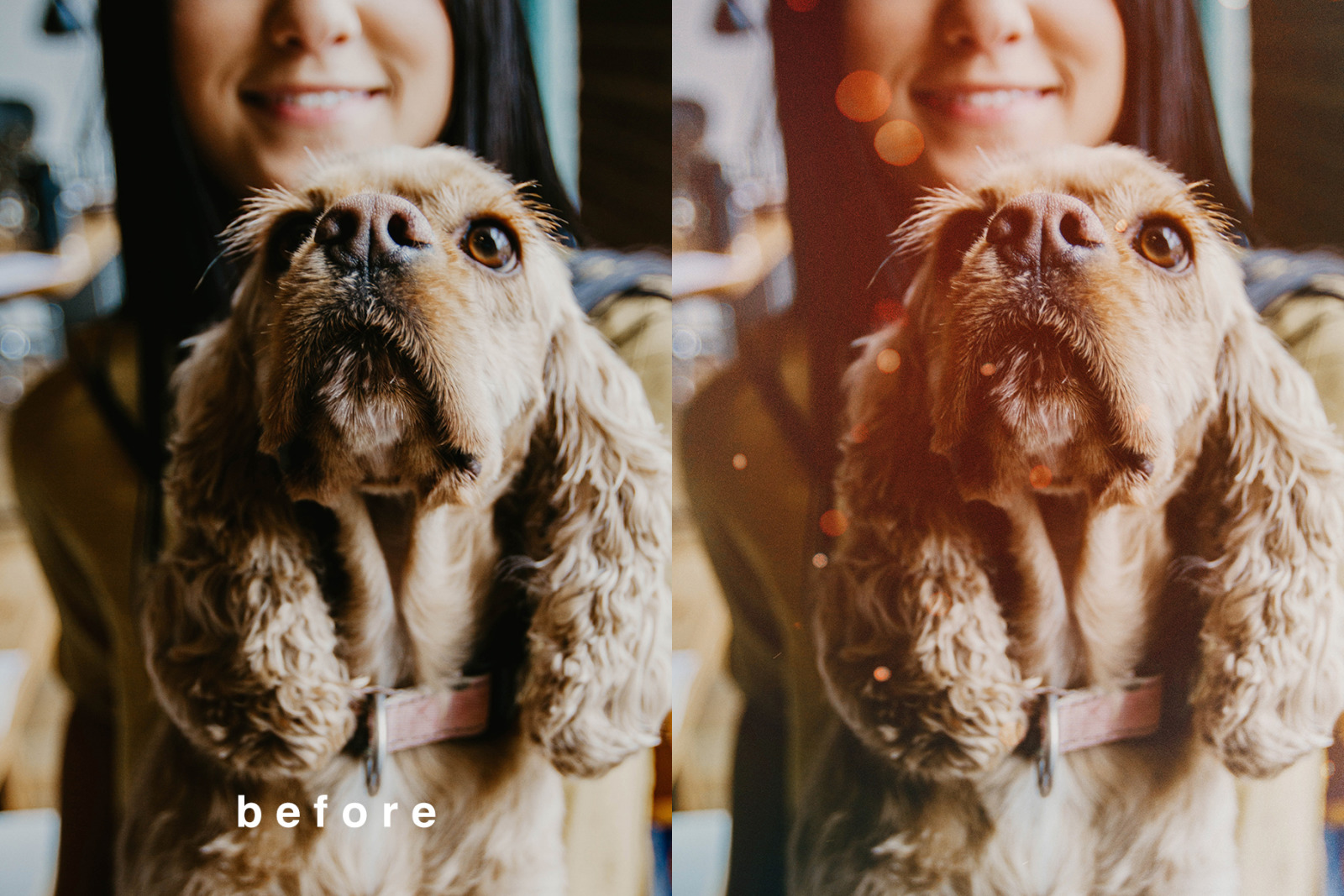 Bokeh Overlays