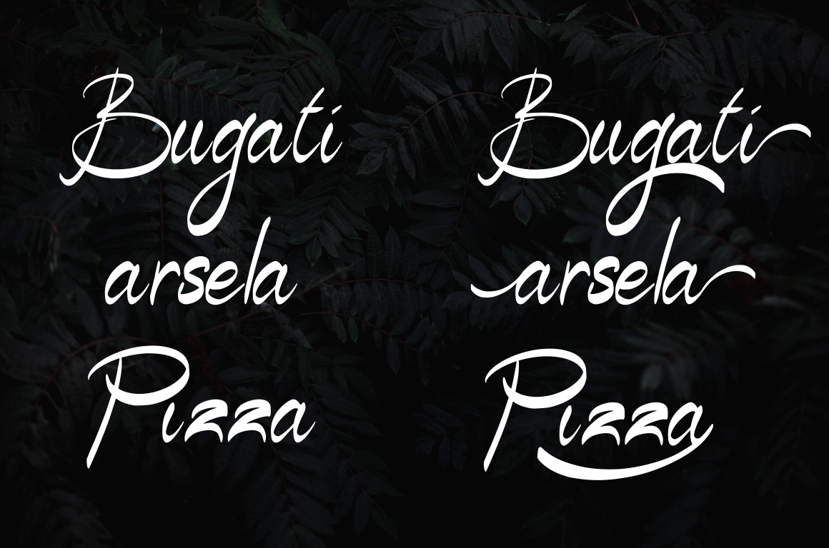 Signature Font Signature Font
