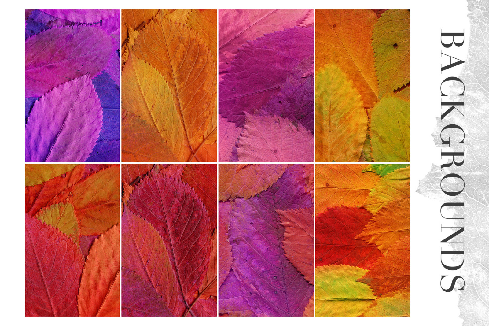 Fall Leaves Elements &amp; Backgrounds