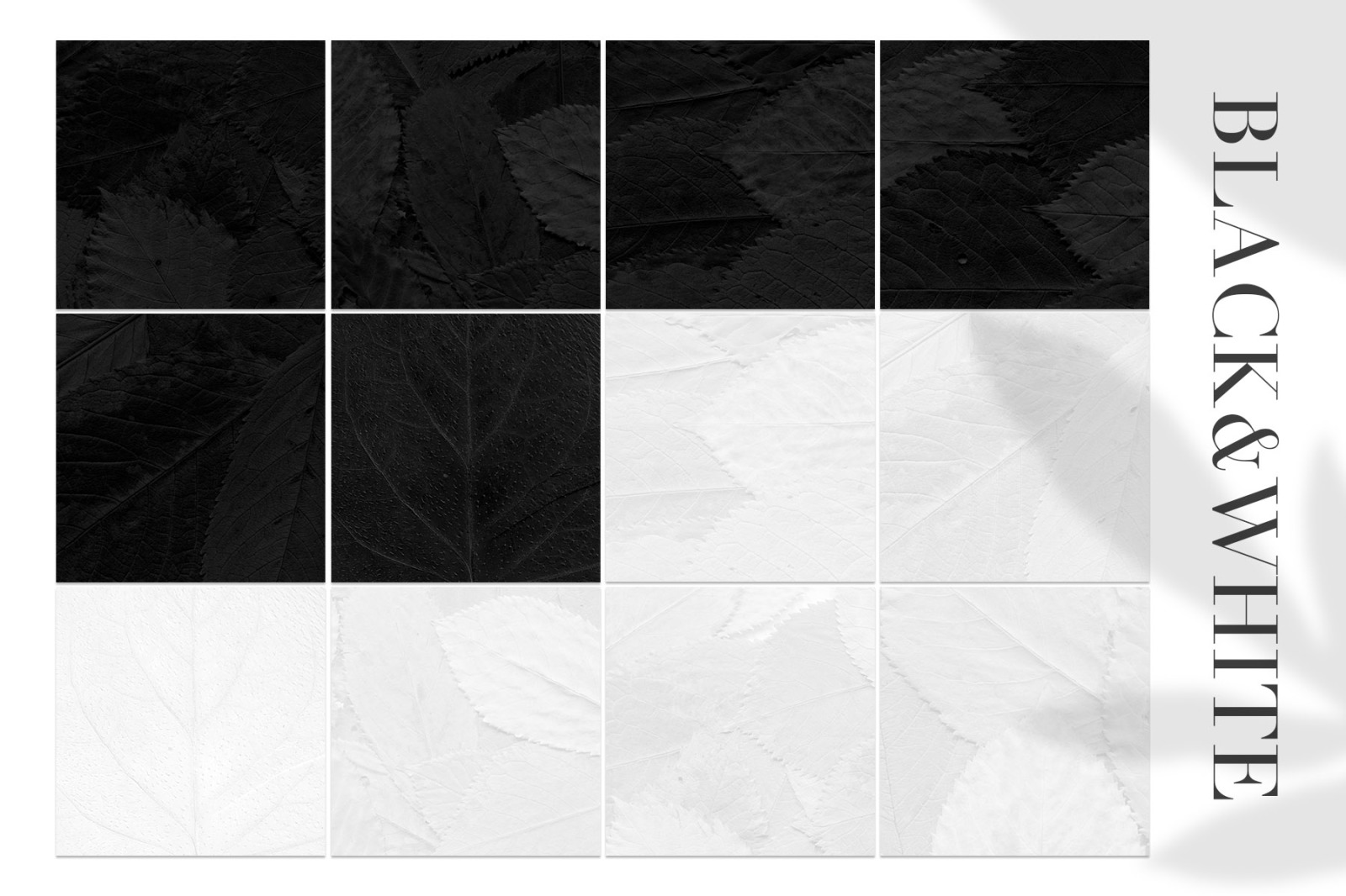 Fall Leaves Elements & Backgrounds Fall Leaves Elements & Backgrounds