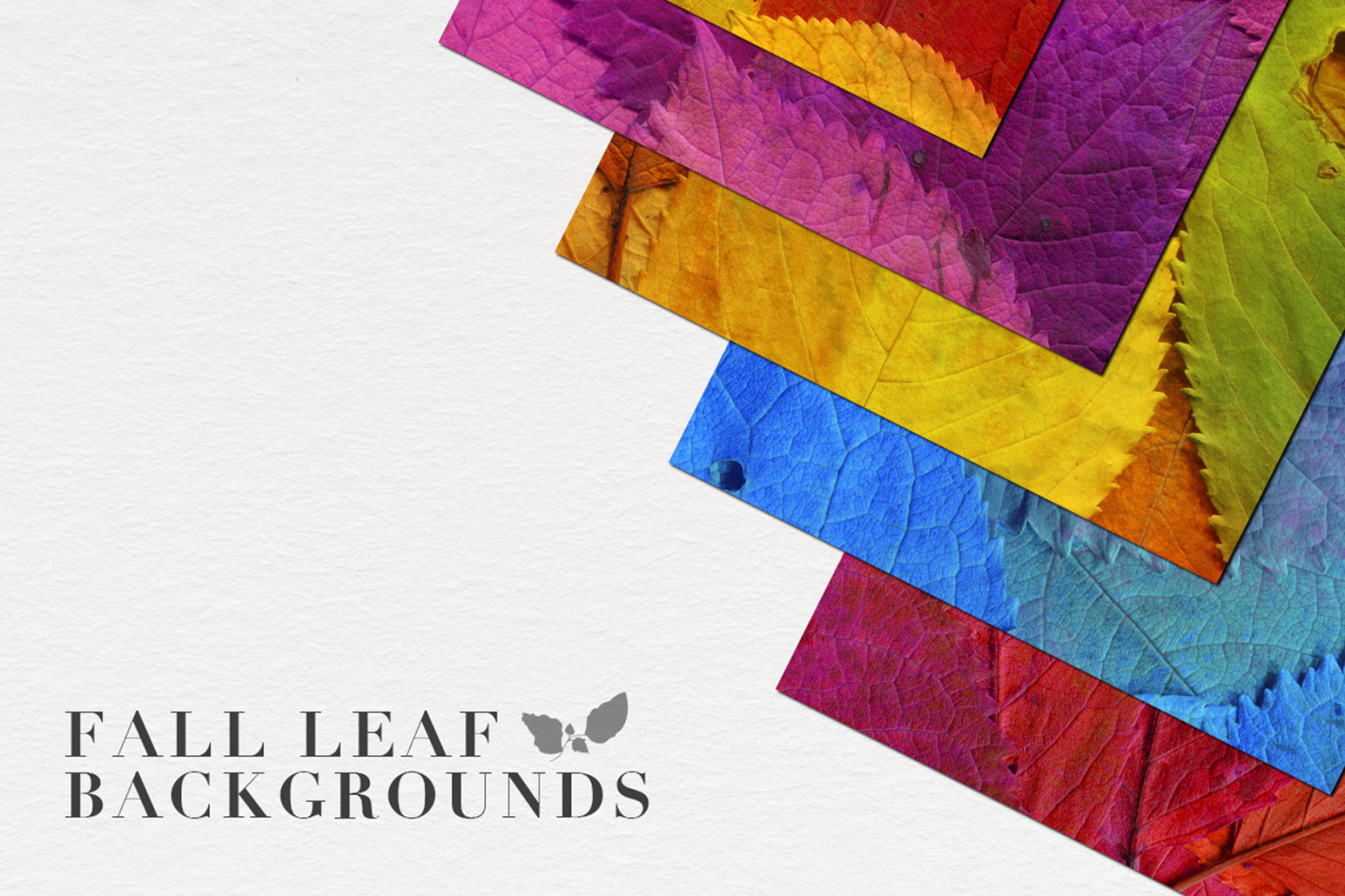 Fall Leaves Elements & Backgrounds Fall Leaves Elements & Backgrounds