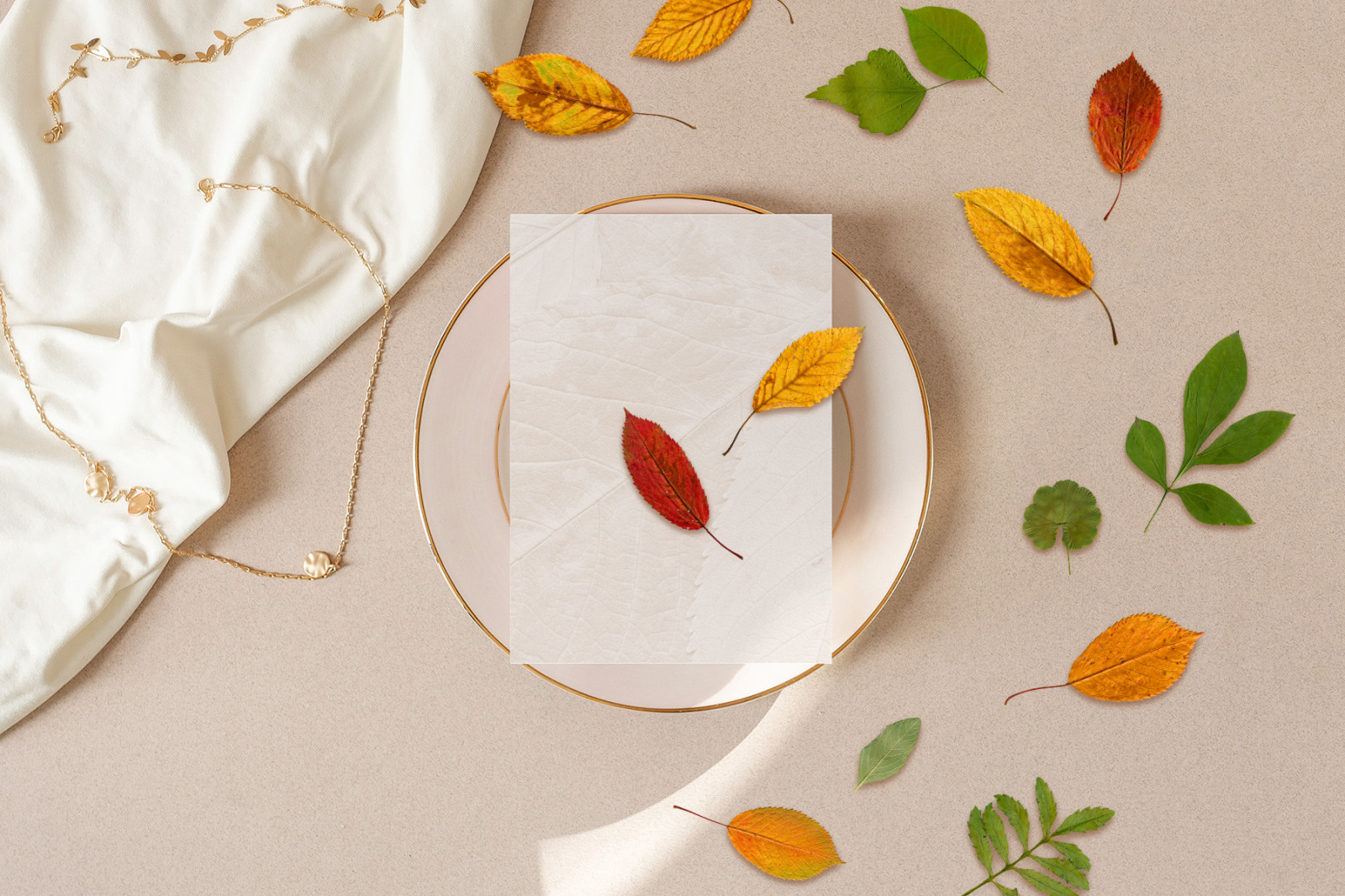 Fall Leaves Elements & Backgrounds Fall Leaves Elements & Backgrounds