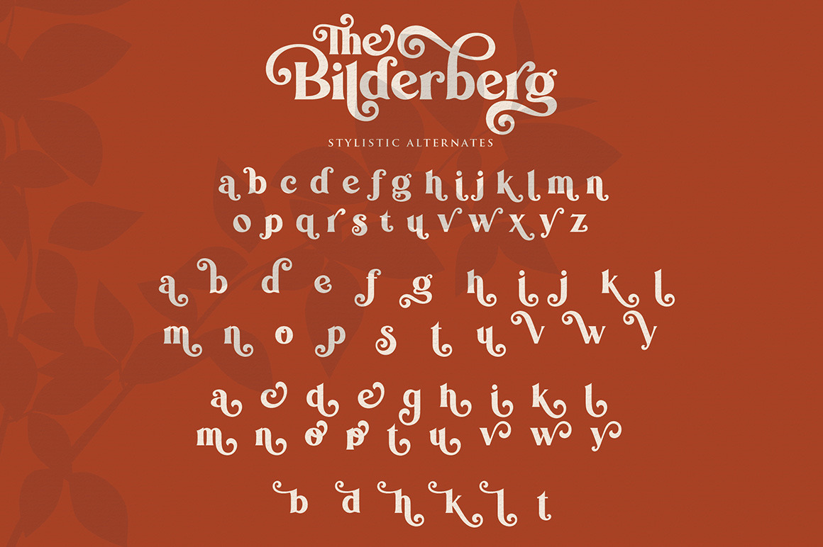 Bilderberg | Luxury Bold Serif Bilderberg | Luxury Bold Serif