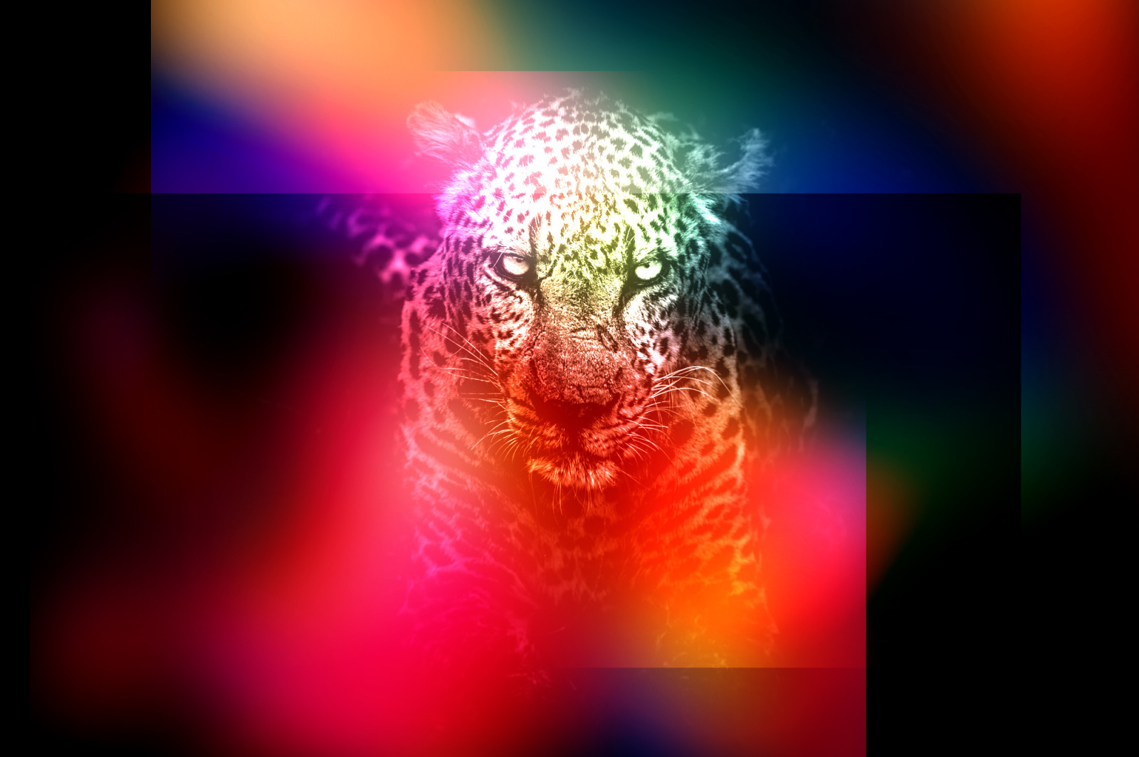 Lucid: Vibrant Blur Overlays Lucid: Vibrant Blur Overlays