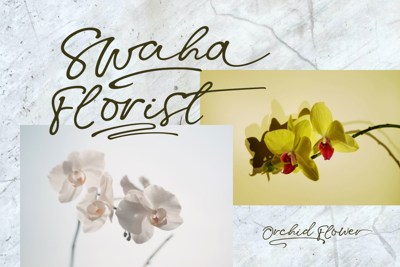 Swaha Font Swaha Font