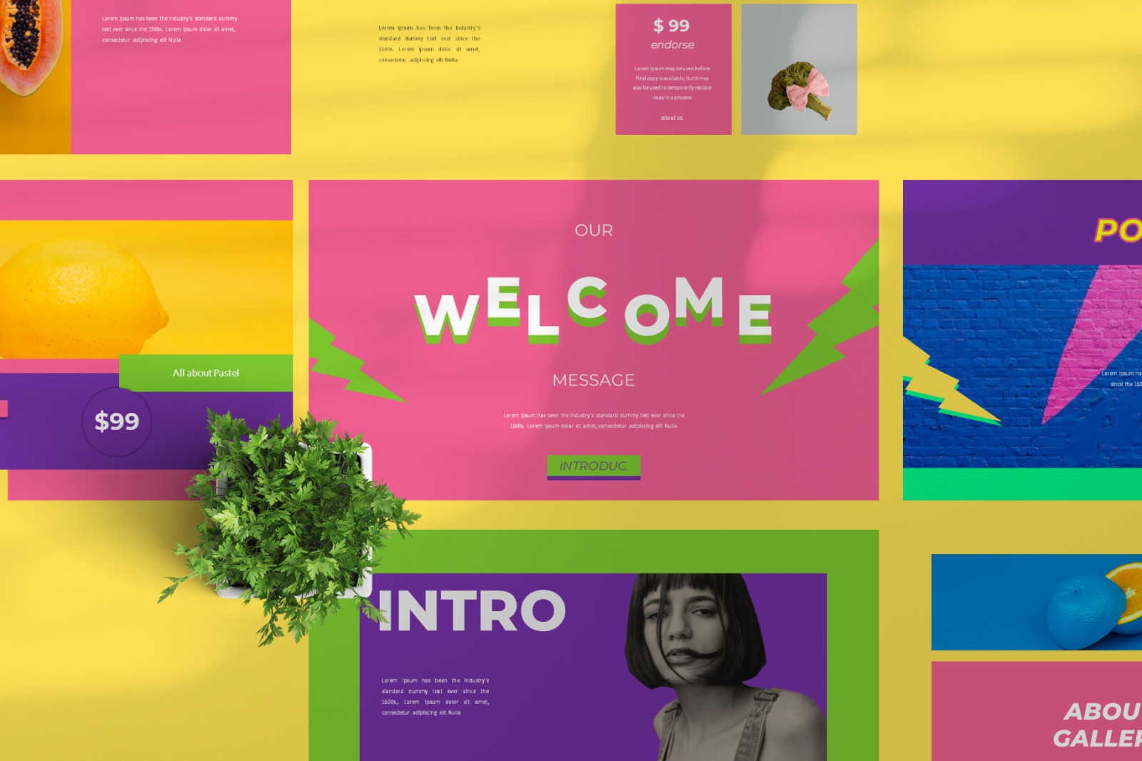 Daniza Powerpoint Template Daniza Powerpoint Template