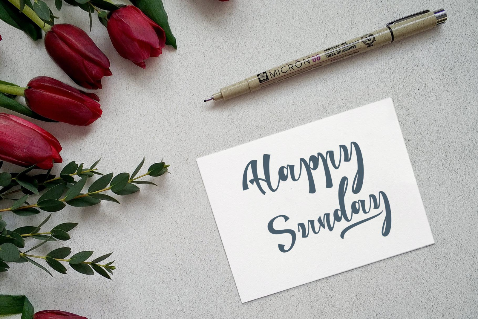 Roselyna Font Roselyna Font