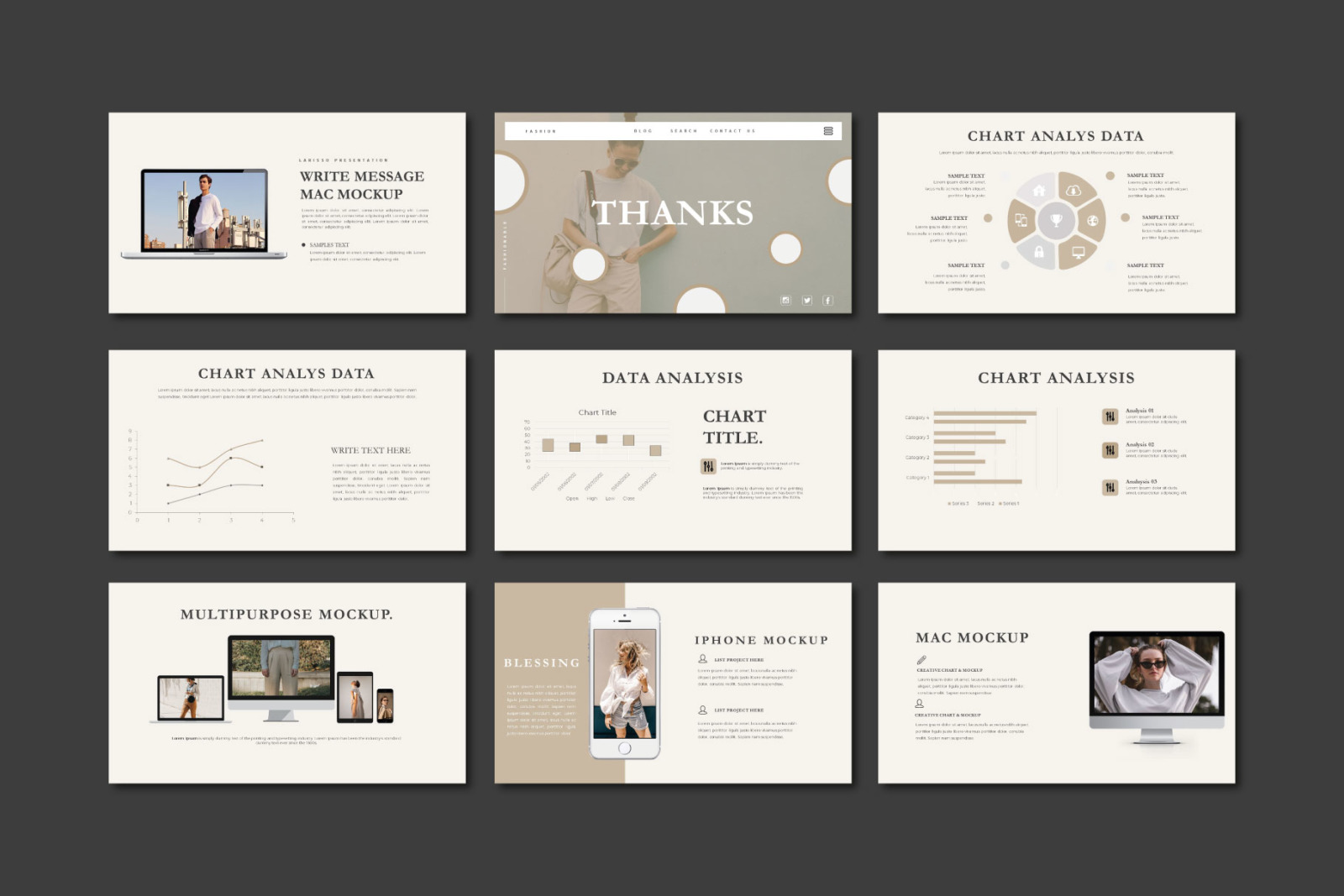 Larisso Presentation Template