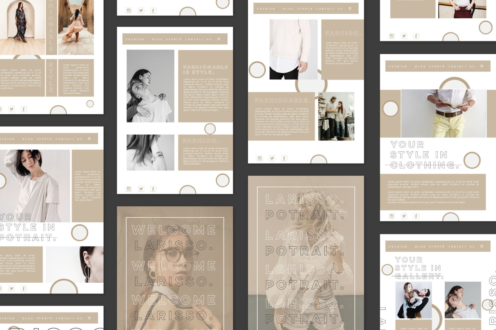 Larisso Presentation Template