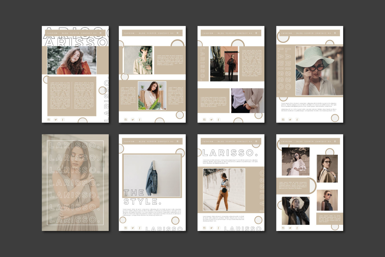 Larisso Presentation Template Larisso Presentation Template