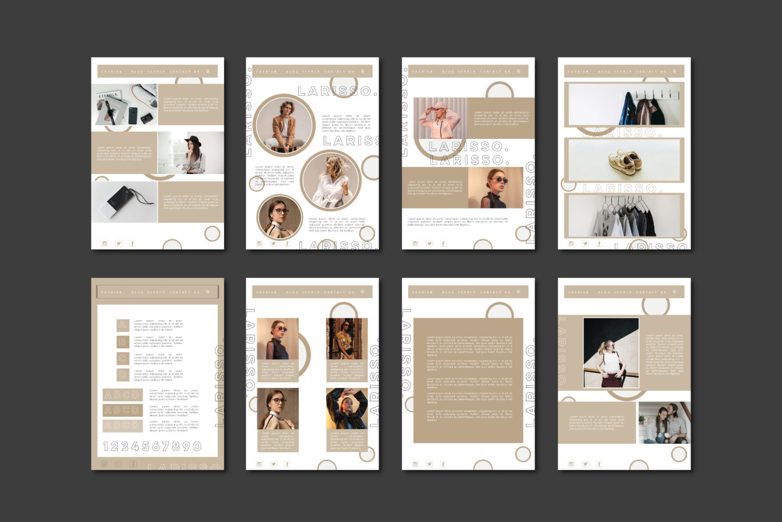 Larisso Presentation Template