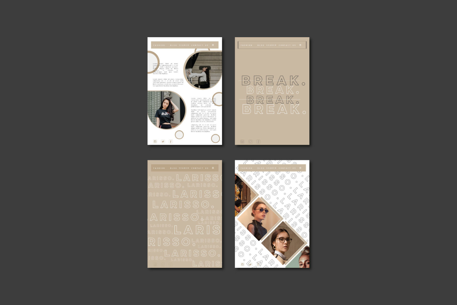 Larisso Presentation Template Larisso Presentation Template