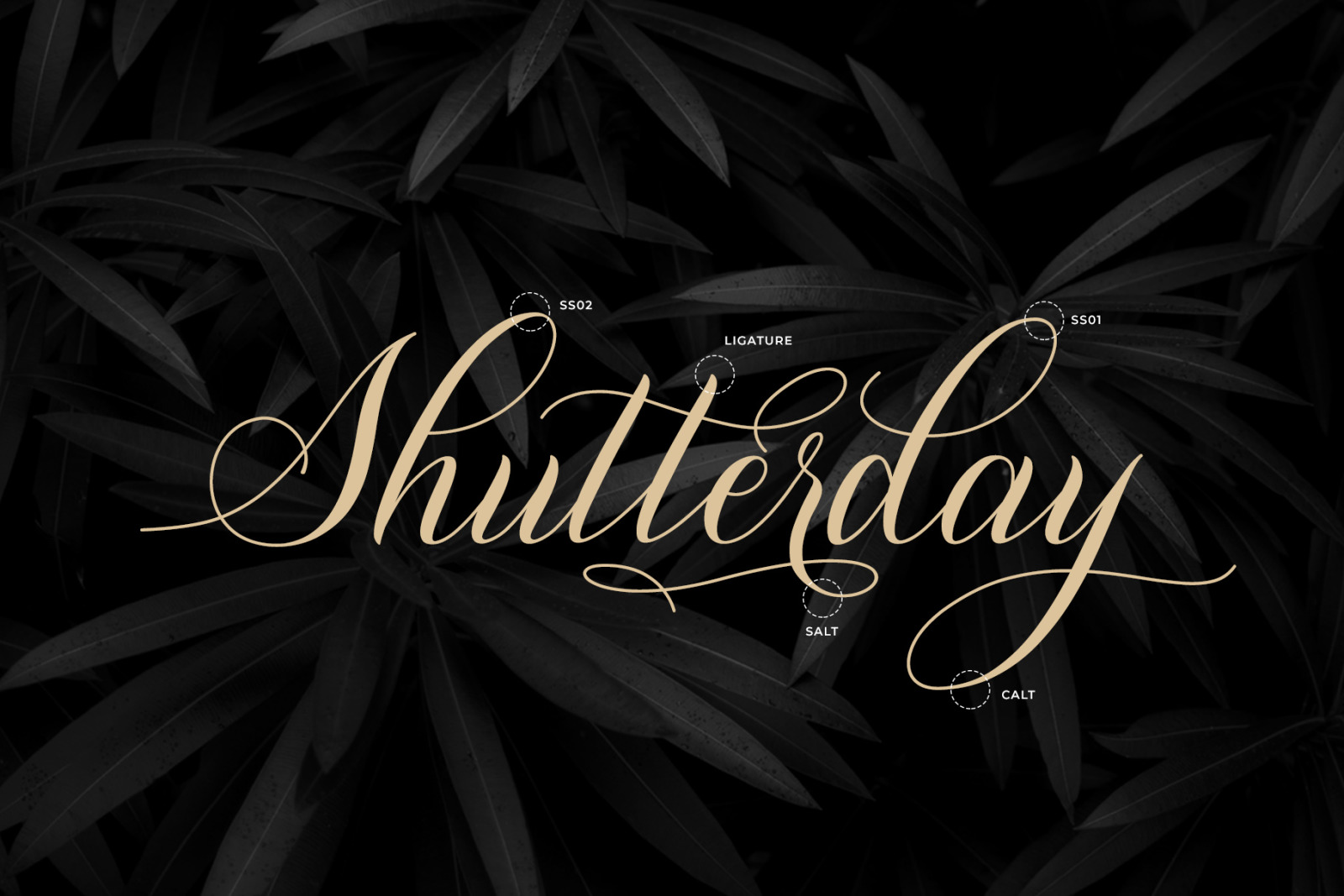 Shutterday - Calligraphy Font Shutterday - Calligraphy Font