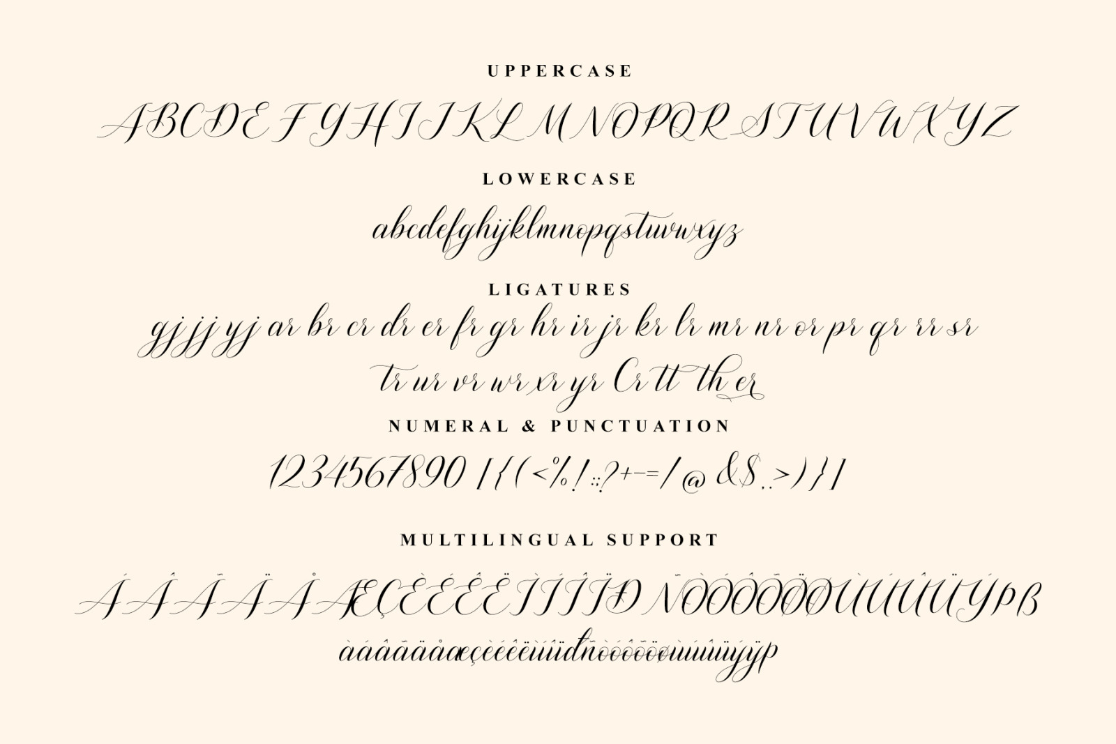 Shutterday - Calligraphy Font Shutterday - Calligraphy Font