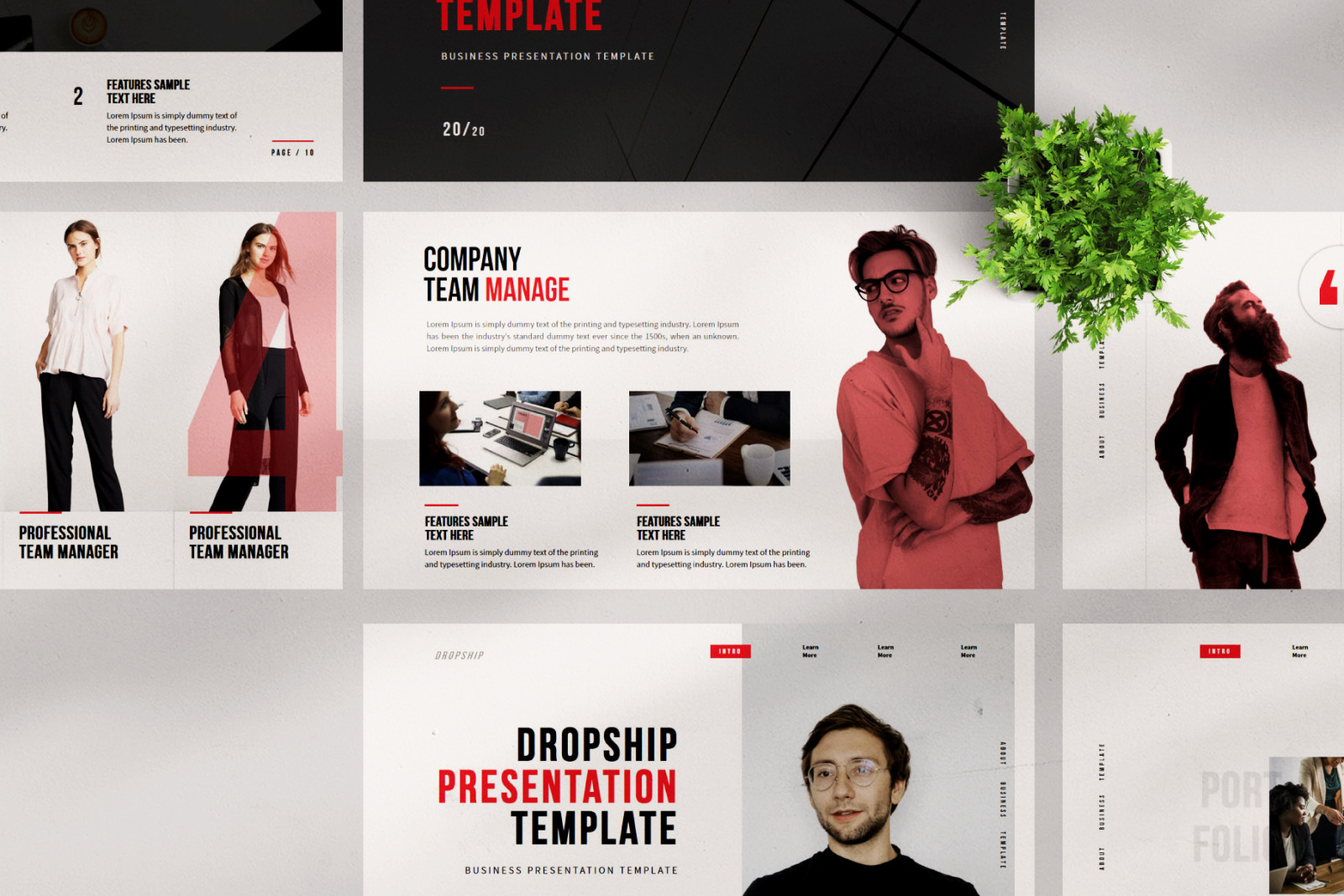 Dropship Bundle Presentation Template Dropship Bundle Presentation Template
