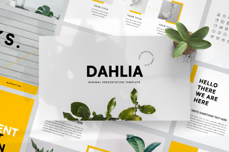 Dahlia Bundle Presentation Template - Templates