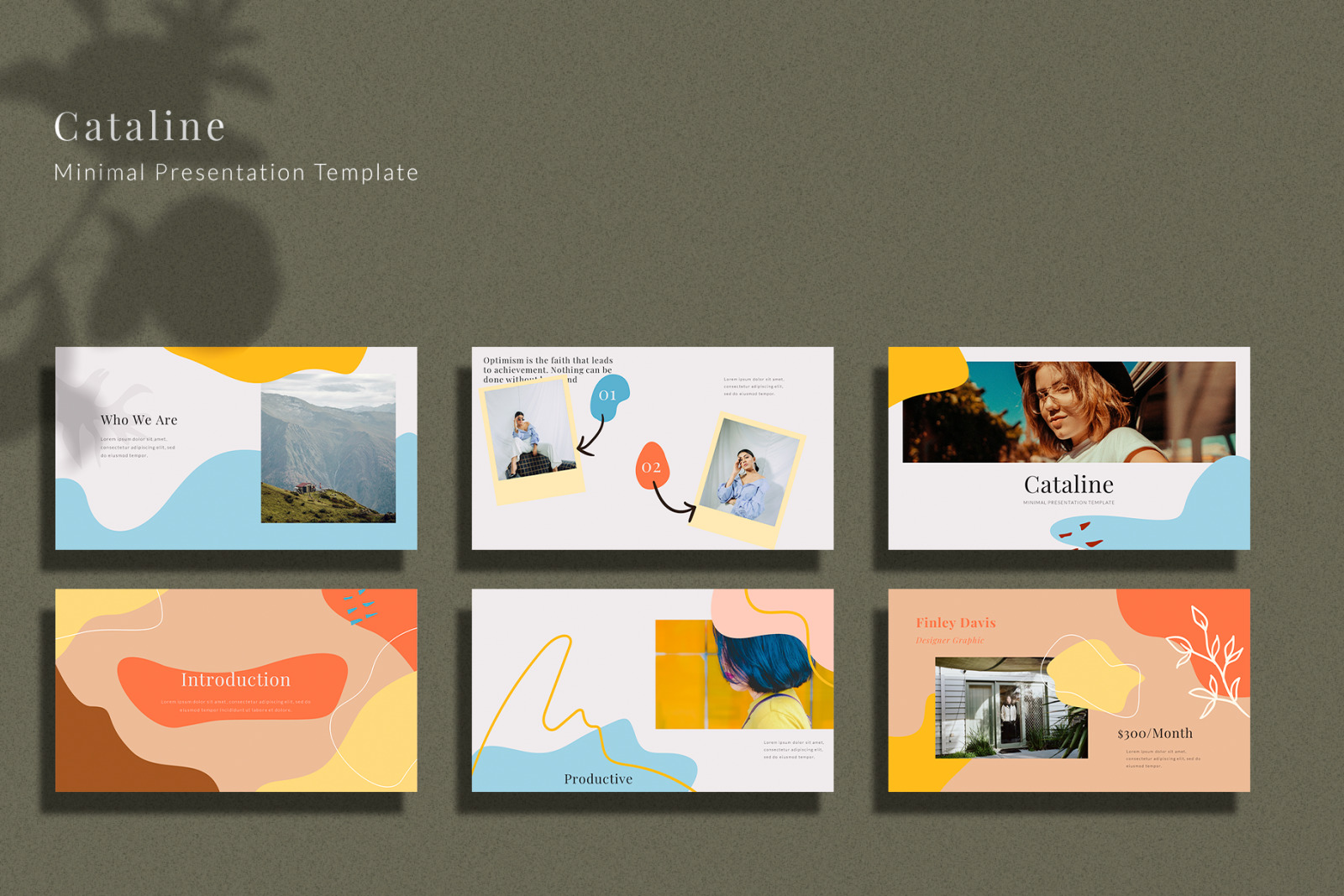 Cataline Bundle Presentation Template Cataline Bundle Presentation Template