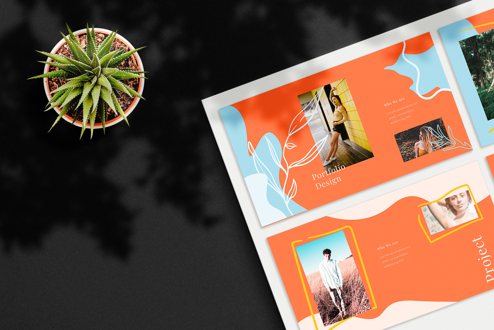 Cataline Bundle Presentation Template Cataline Bundle Presentation Template