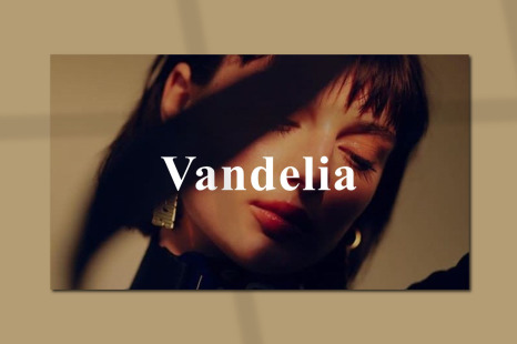 VANDELIA Bundle Presentation Template - Report