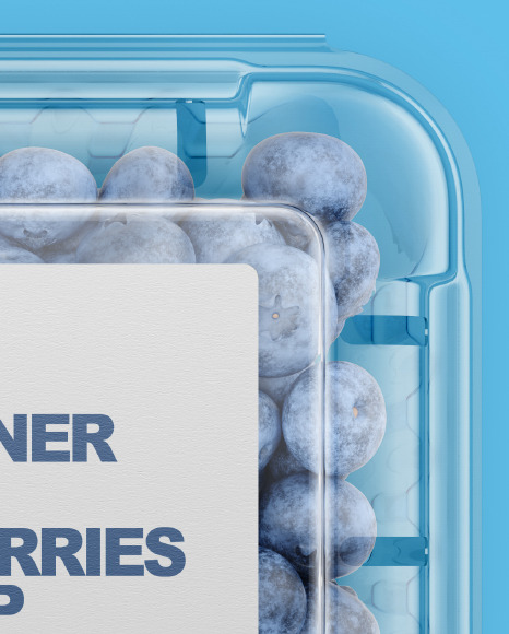 Container With Blueberries Mockup