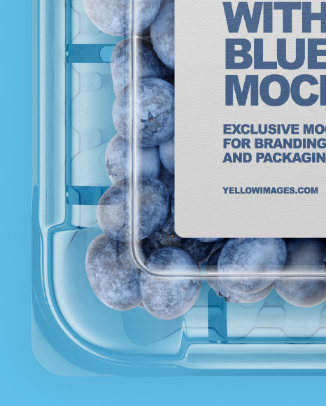 Container With Blueberries Mockup