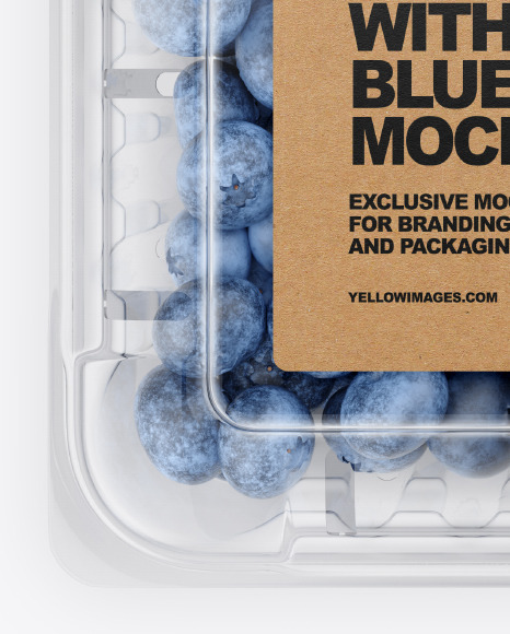 Container With Blueberries Mockup