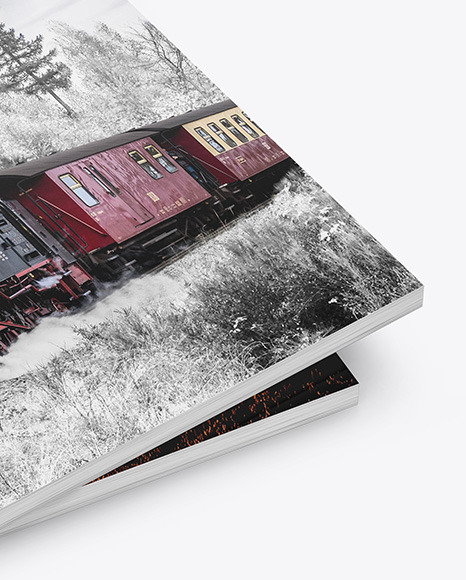 Two Matte A4 Magazines Mockup