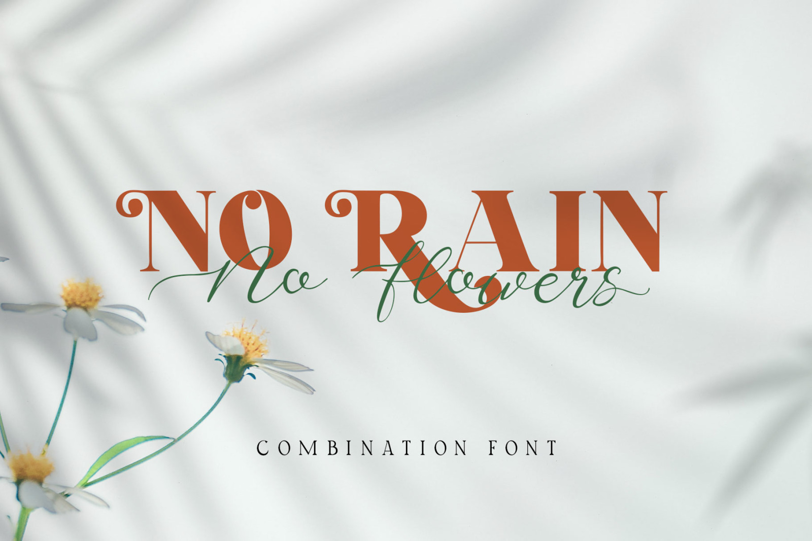 Brohillo Font Duo Brohillo Font Duo