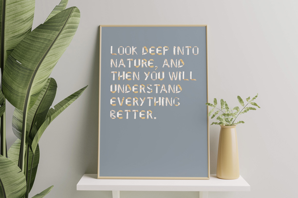 Birch Bark Font Birch Bark Font