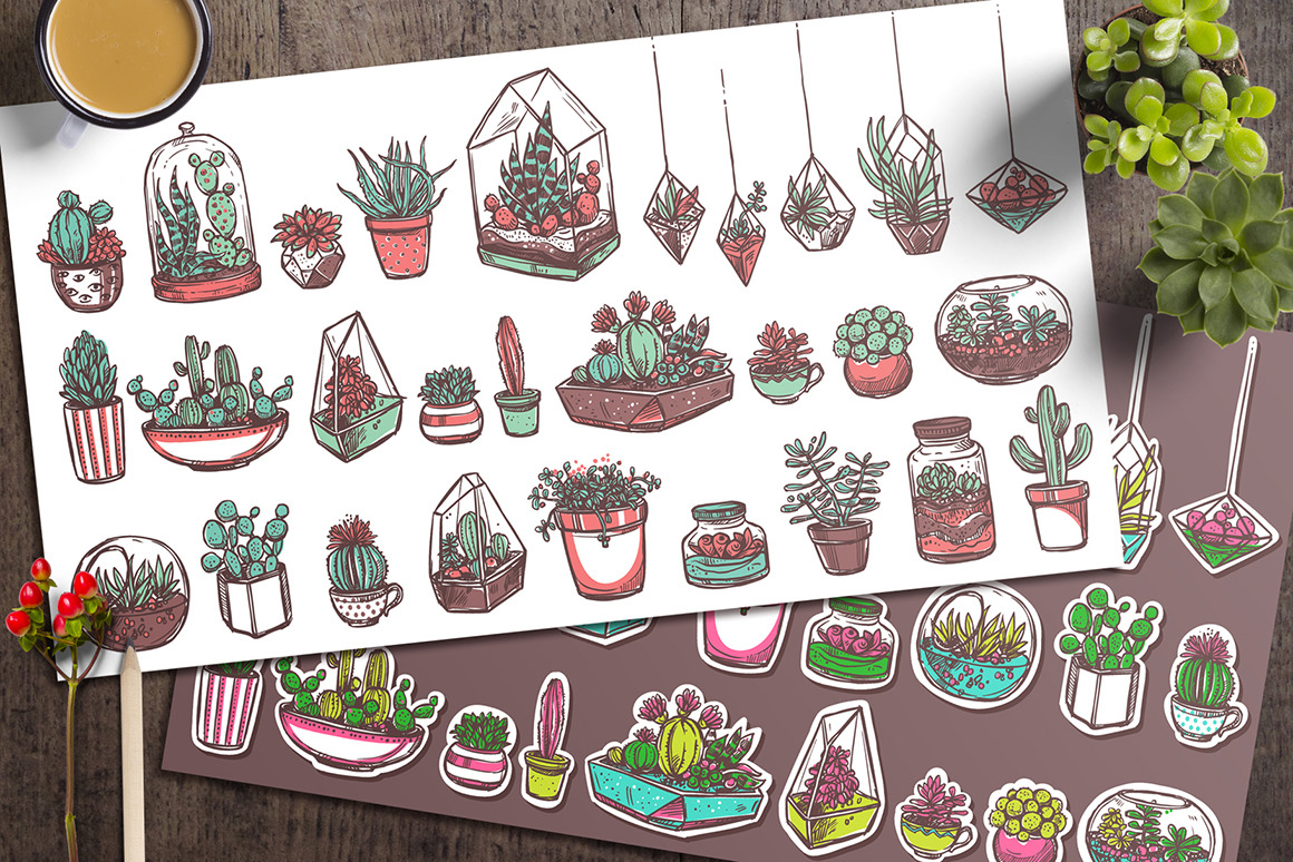 Cacti and Succulents Cute Doodle