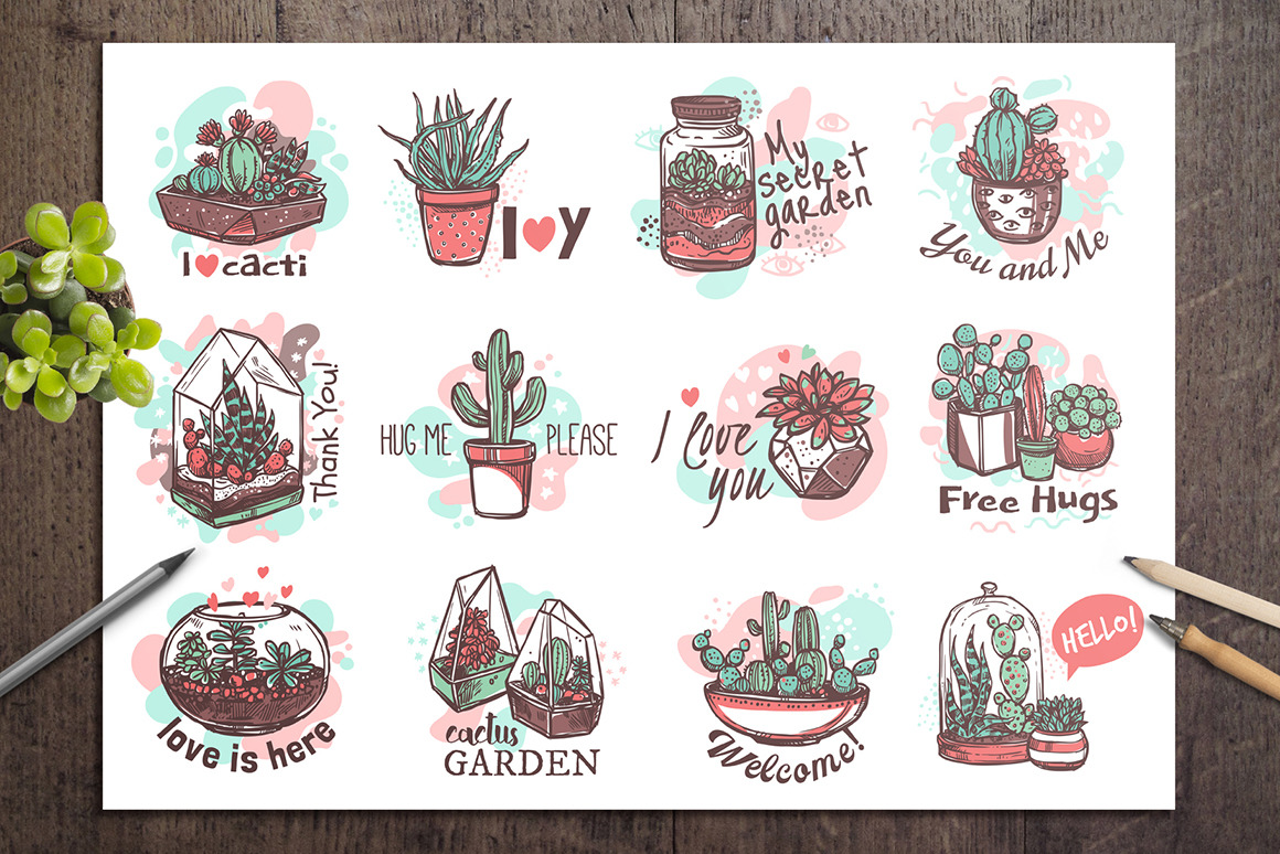 Cacti and Succulents Cute Doodle