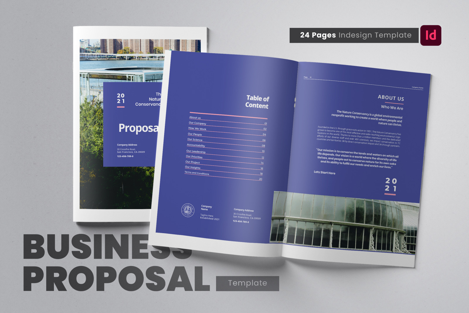 Business Project Proposal Indesign Template