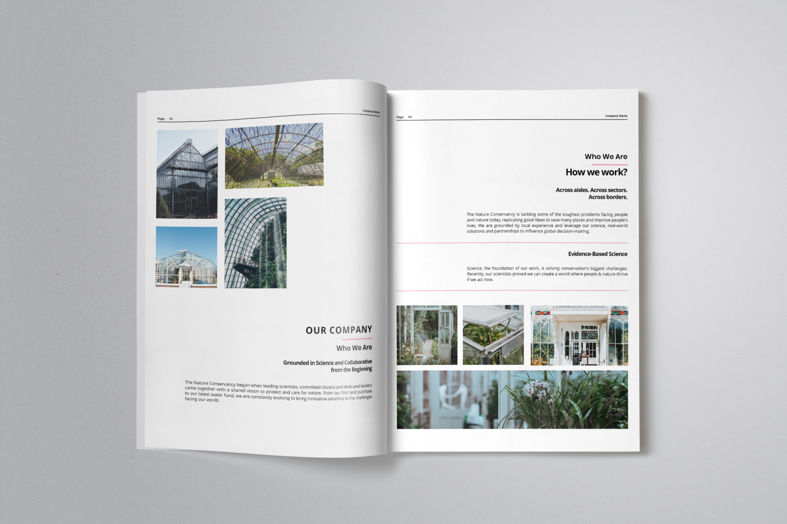 Business Project Proposal Indesign Template