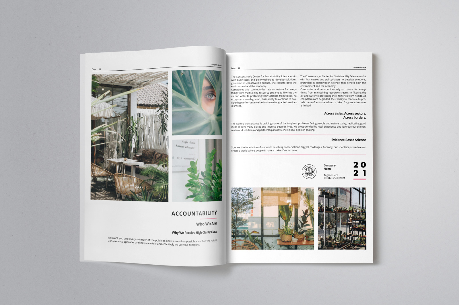 Business Project Proposal Indesign Template