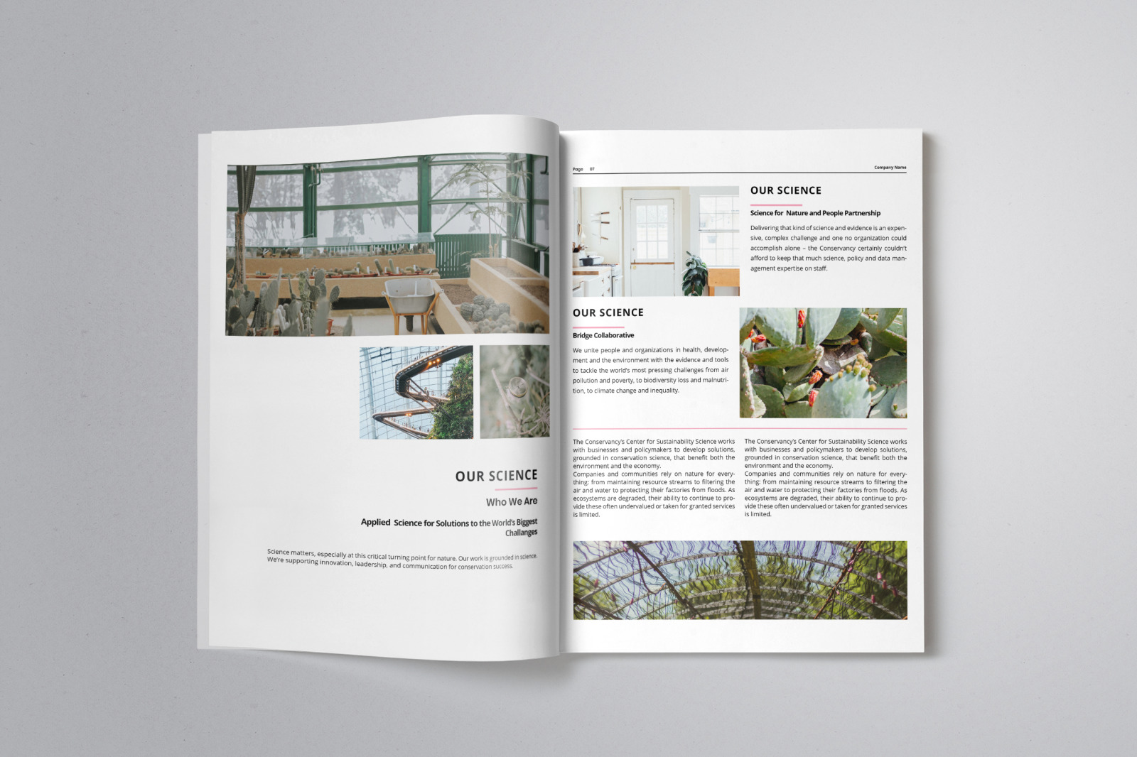 Business Project Proposal Indesign Template