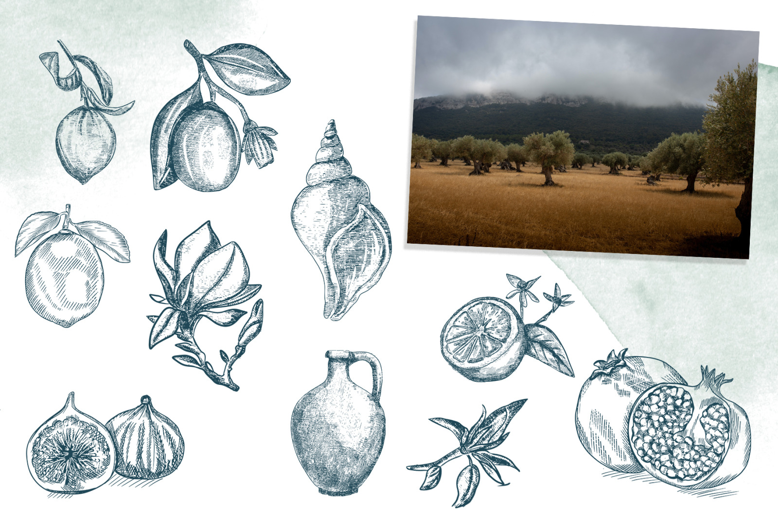 The Greek Garden The Greek Garden