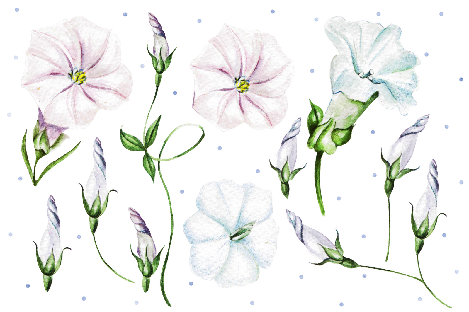 Watercolor Spring is coming 2