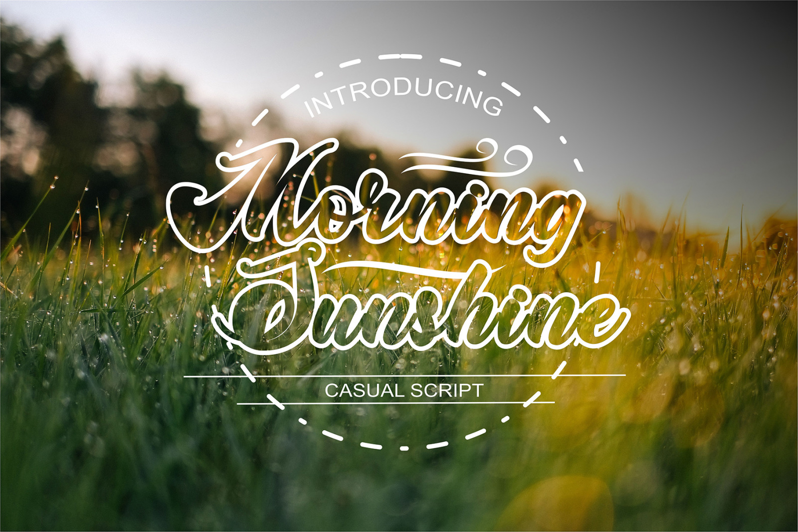 Morning sunshine Morning sunshine