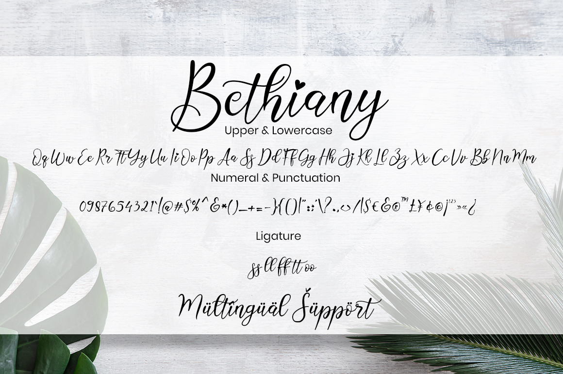 Bethiany Font