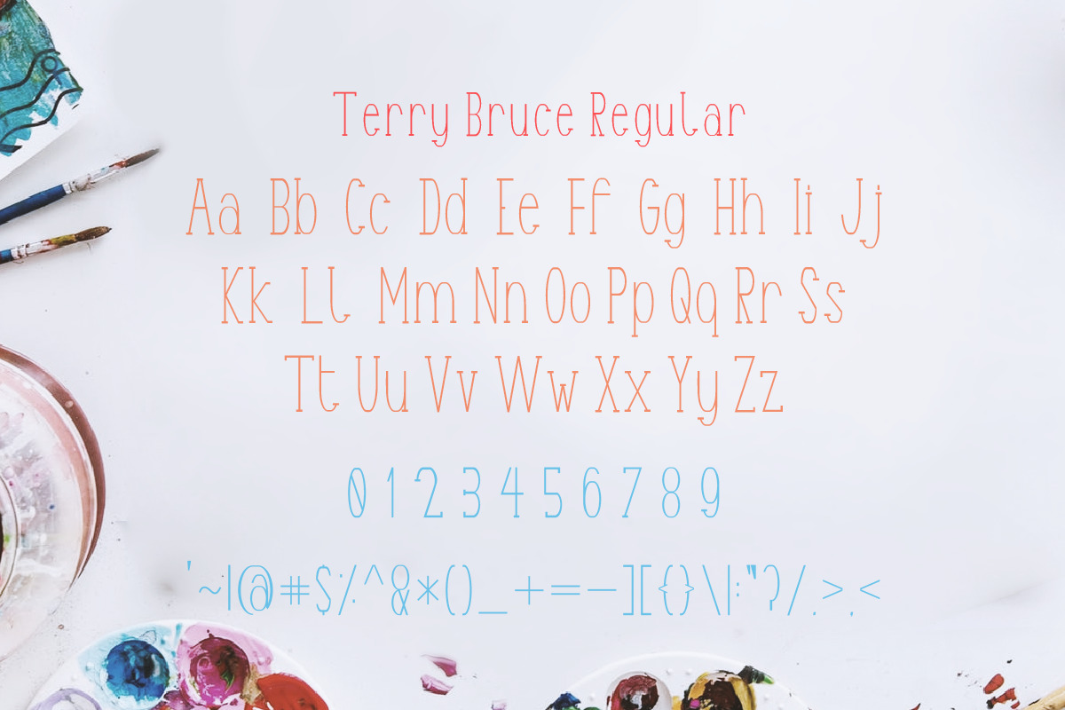 TerryBruce Sans Serif Fonts