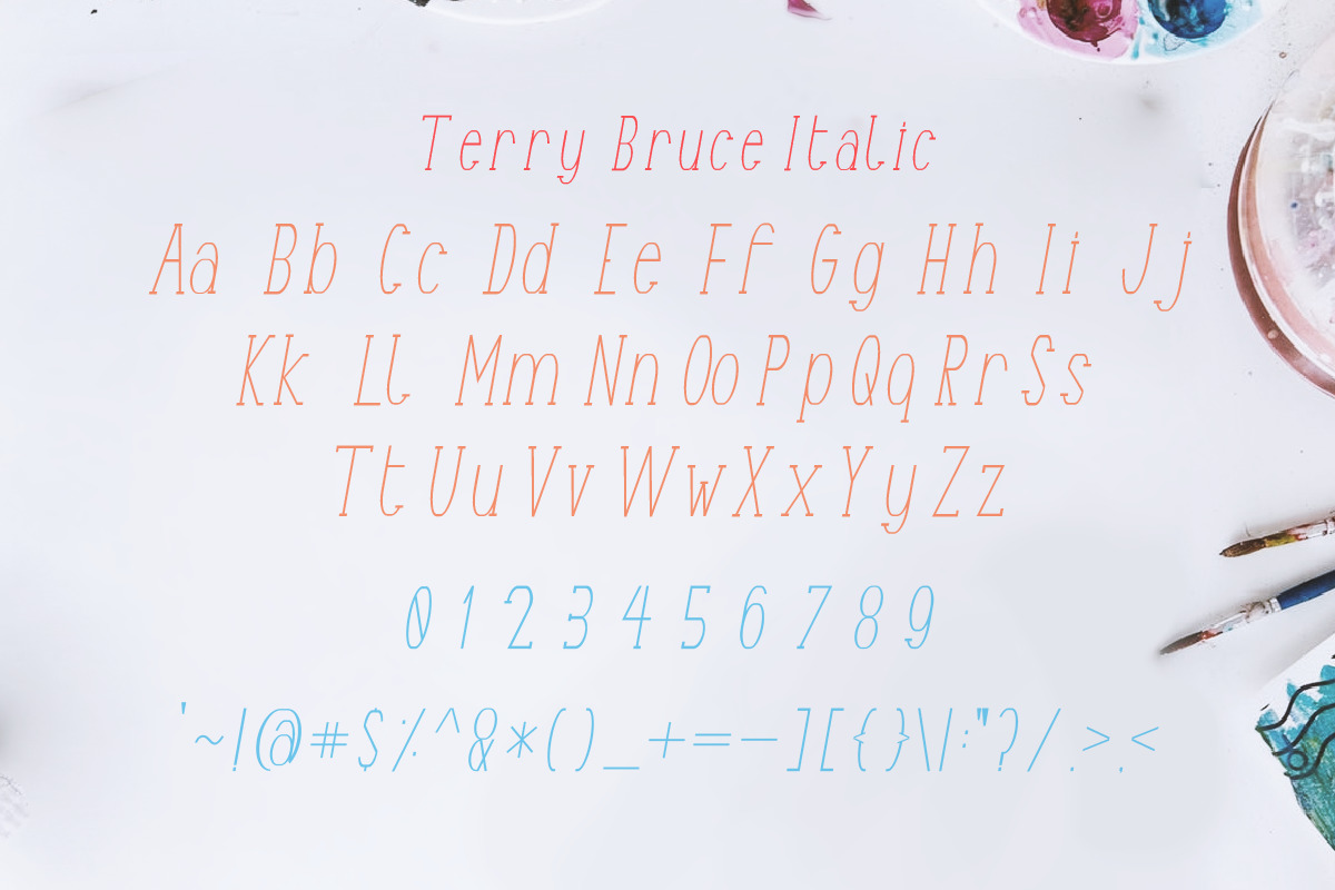 TerryBruce Sans Serif Fonts