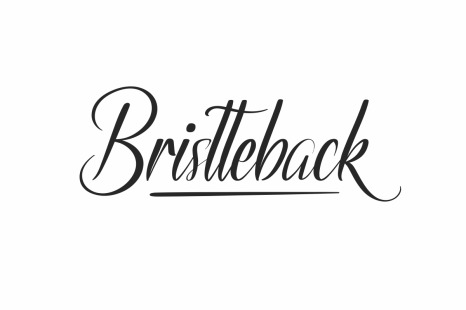 Bristteback Font - Original