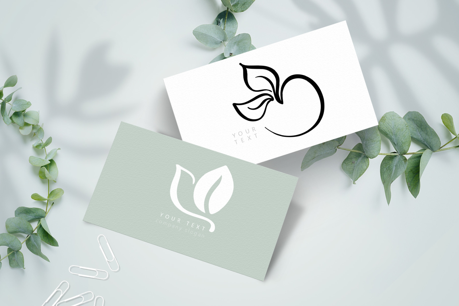 Logo Botanical Leaf SVG