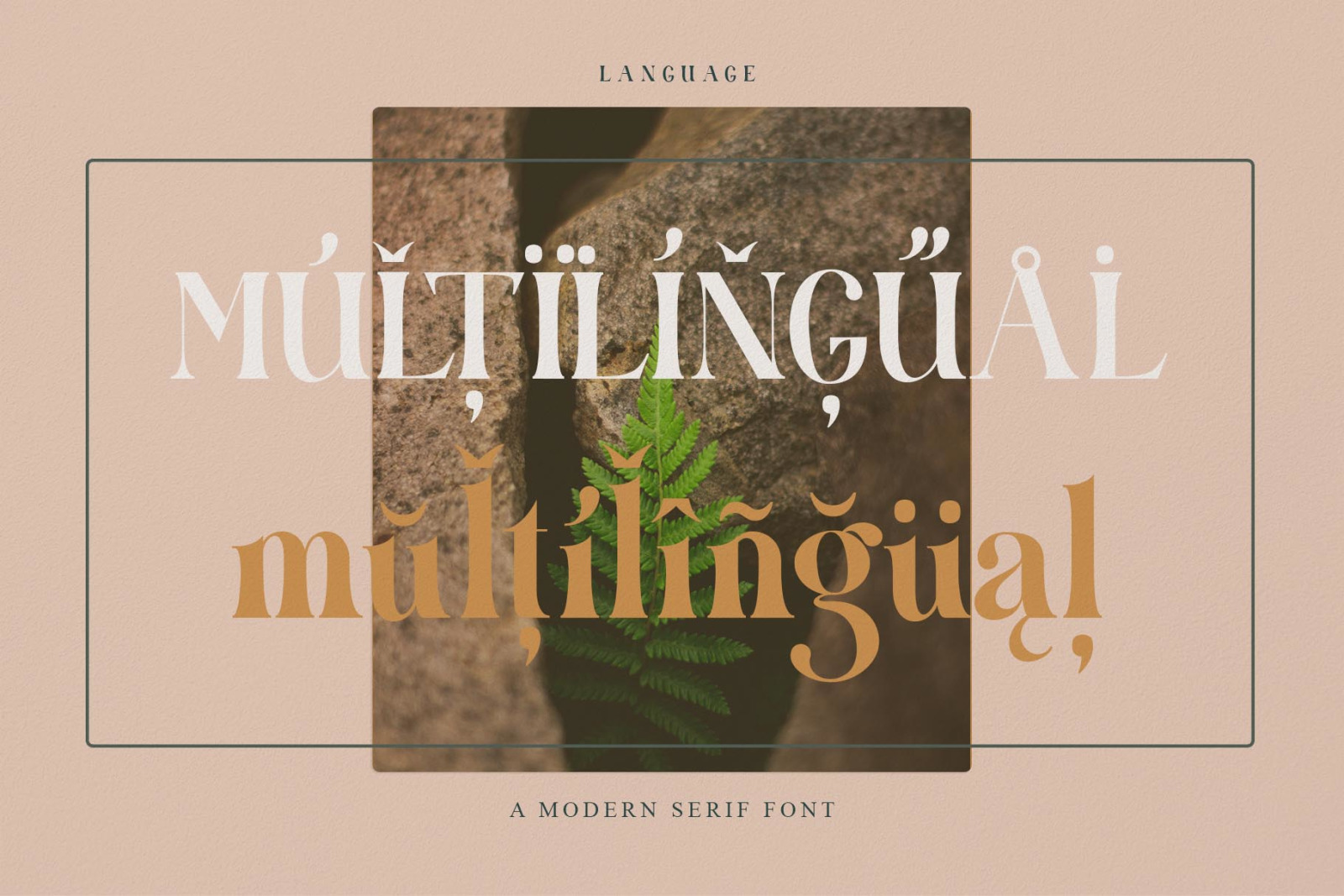 Emelly Font