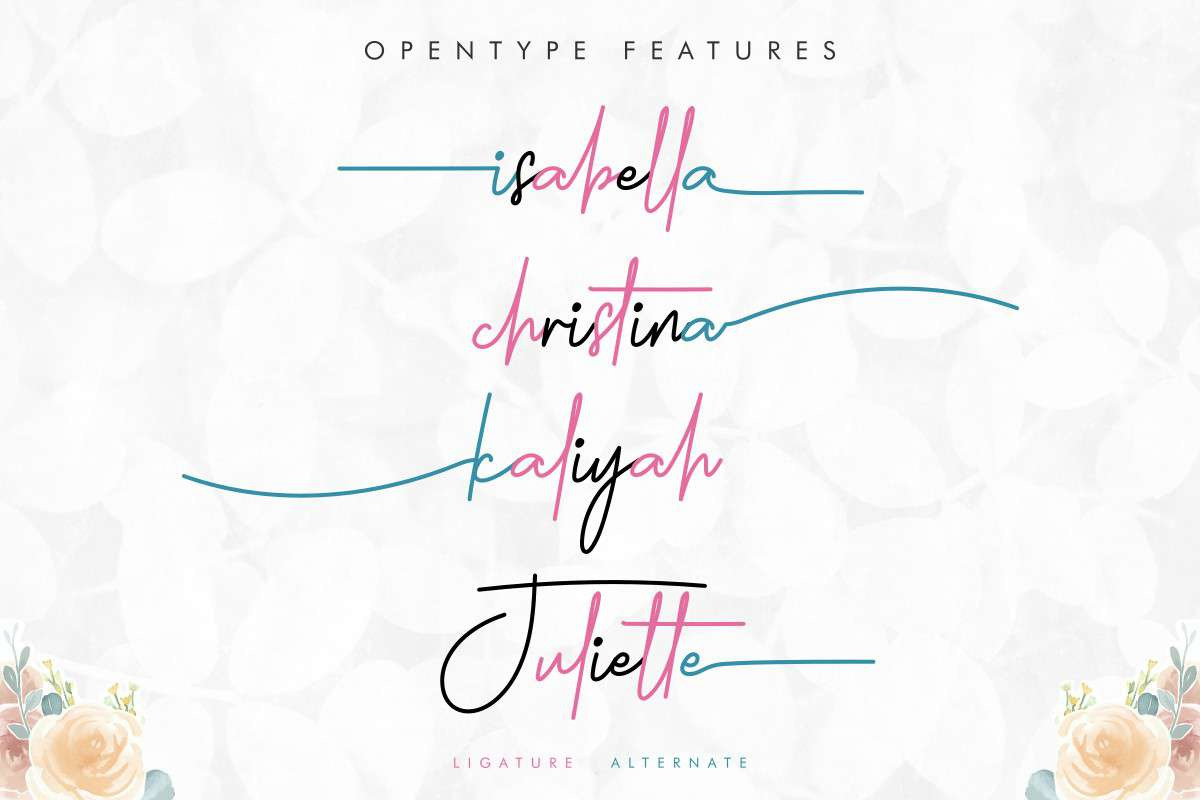 Holdsmith Signature Font Holdsmith Signature Font
